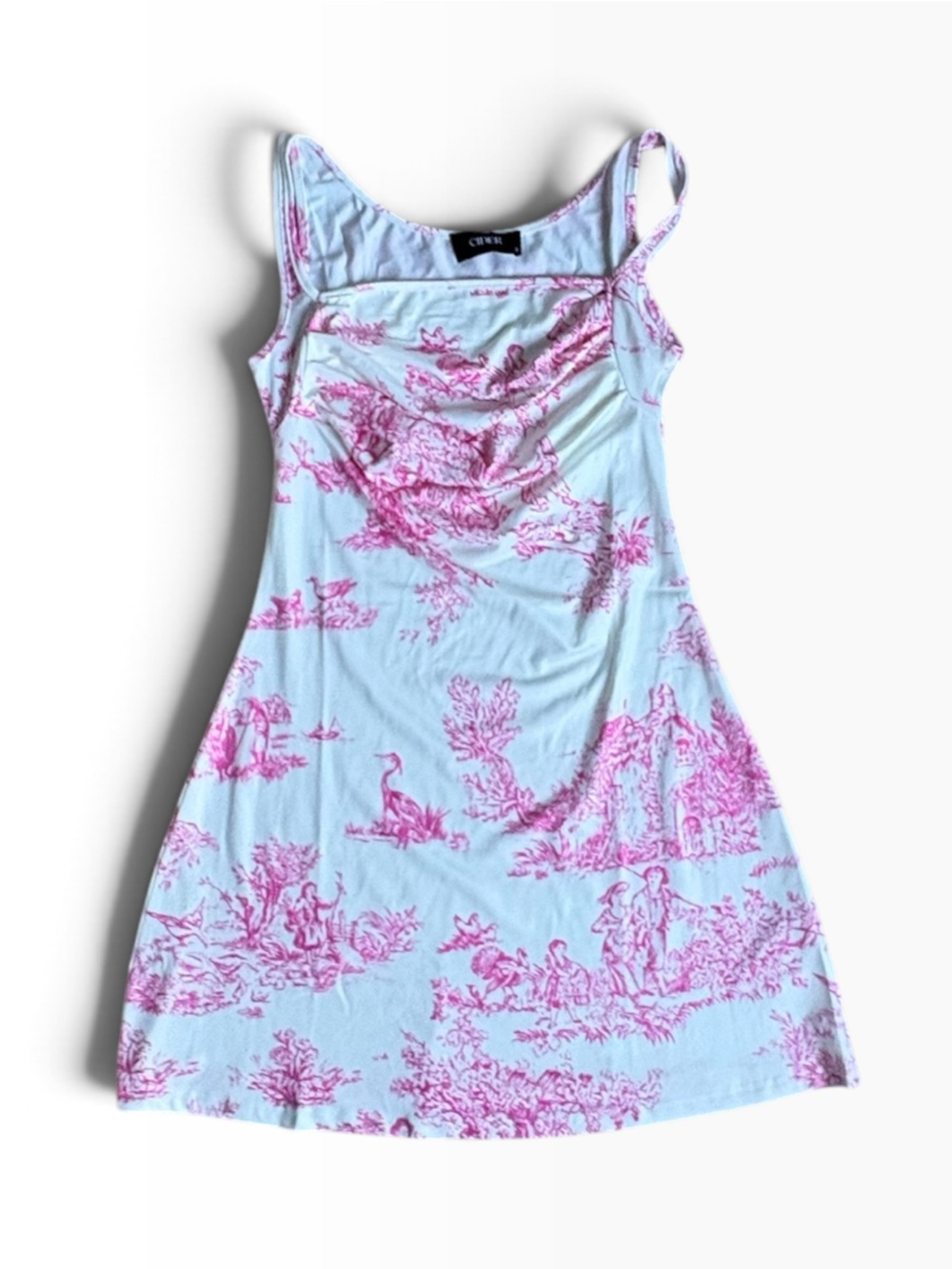 Cider Light Blue Mini Dress with Pink Toile Print
